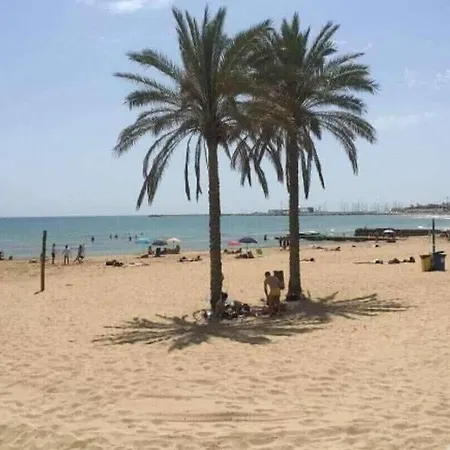 Petals * Marina di Ragusa